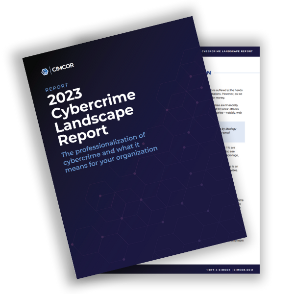 2023 Cybercrime Report