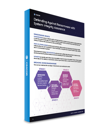 3D Booklet - Defending Against Ransomware