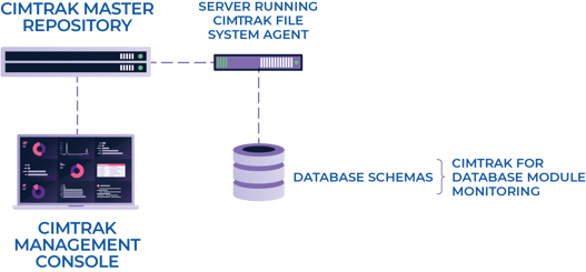 CimTrak for Databases Architecture.jpg