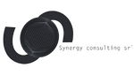 Synergy Consulting - Dark