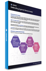 Ransomware Booklet-1